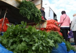 Лиманский район готовится к празднованию Дня тружеников сельского хозяйства