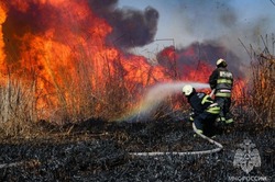 Астраханские пожарные совершили 40 выездов за неделю на возгорания травы и камыша