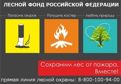 В Астраханской области действуют II - IV классы пожарной опасности по условиям погоды