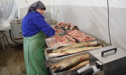 Работники рыбодобывающей отрасли Лиманского района представлены к наградам