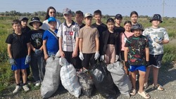 Лиманские школьники на каникулах продолжают участие в экологических акциях  