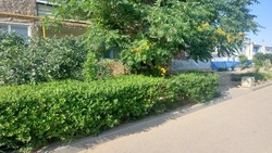 Жители Лимана занимаются благоустройством дворов многоквартирных домов