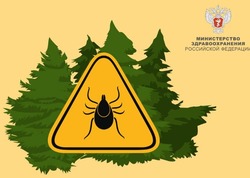 Астраханский минздрав предупредил население региона о начале активности клещей