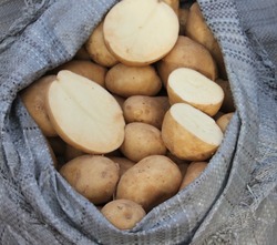 Лиманские фермеры поставляют продукцию астраханцам