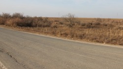 В Лимане обследовано состояние дороги по обращениям жителей